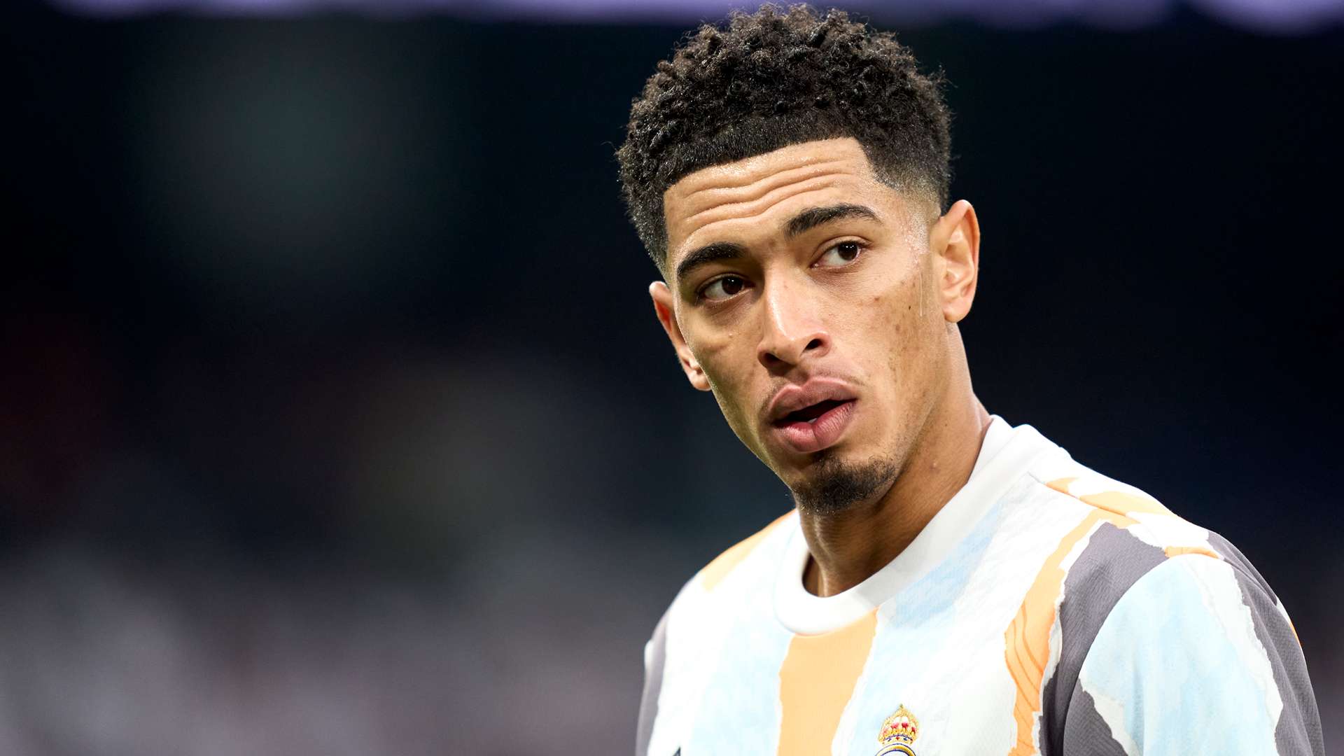 球迷的重要 球迷的重要